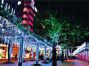 [最優秀賞] 輝く広場の美 伊久美三代子