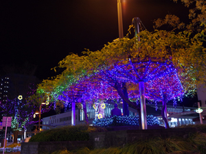 [特選] 無題2　若杉駿治