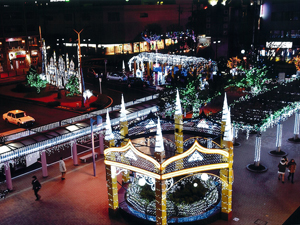 [特選] 眺め最高　伊久美三代子