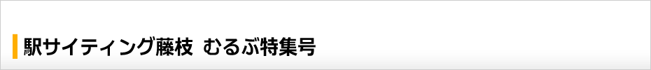 駅サイティング藤枝 むるぶ特集号