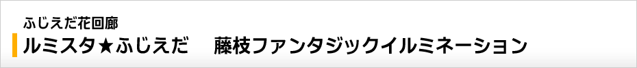 ふじえだ花回廊 ルミスタ★ふじえだ～藤枝ファンタジックイルミネーション～